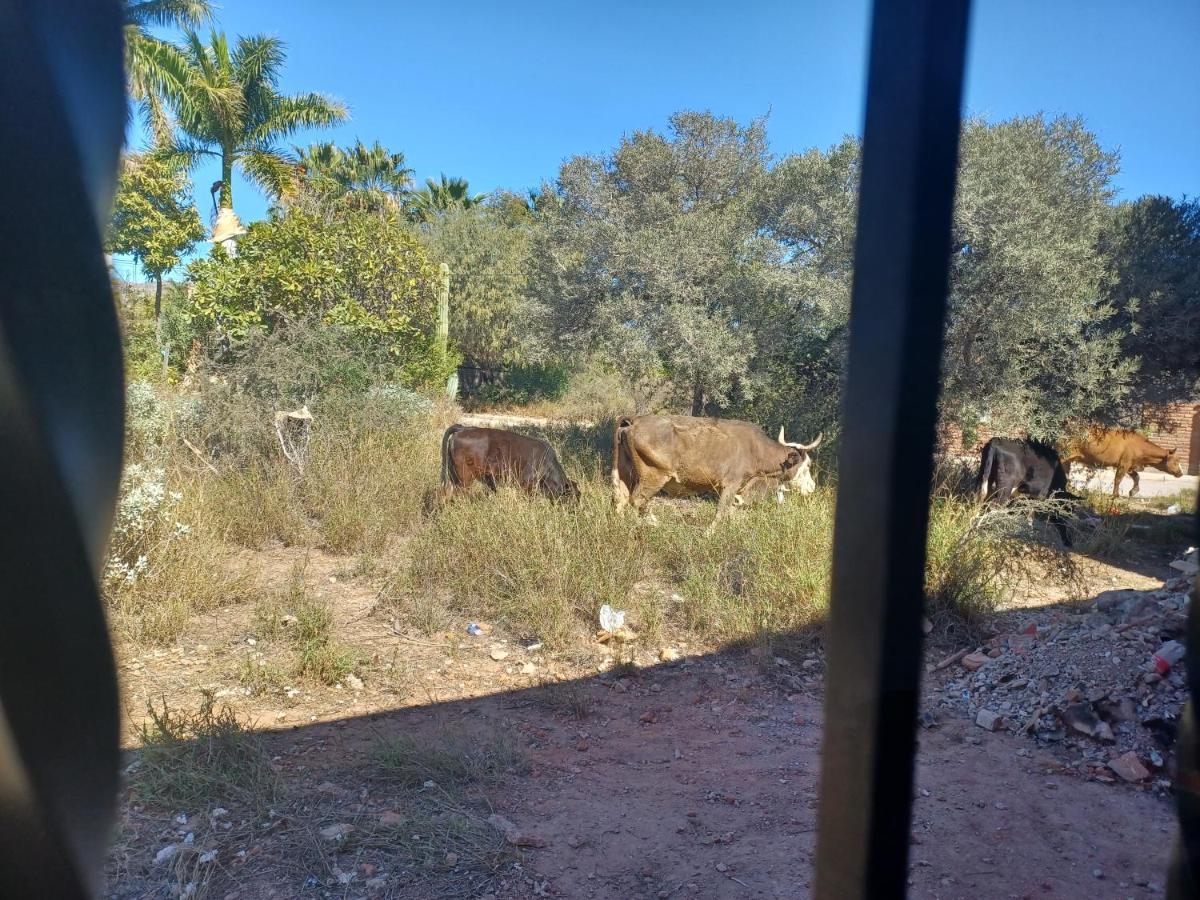 Hacienda Gallardos 104-3 San Carlos Nuevo Guaymas Ngoại thất bức ảnh